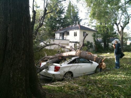 Damaged_by_tree Comprehensive coverage is for the odder situations, such as acts-of-nature.