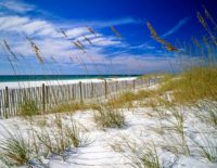 Florida Targets Insurance Fraud in Crackdown