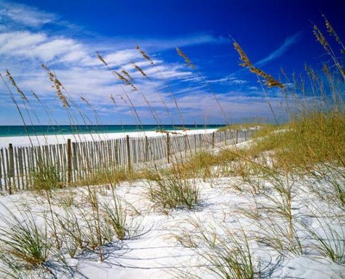 Florida offers hundreds of miles of coastal beaches and lots of insurance fraud. 