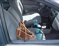 Putting the Brakes on Auto Burglary